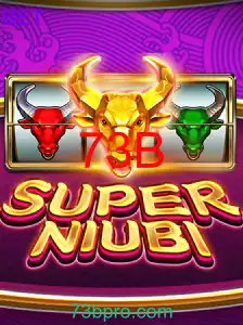 SuperNiubi